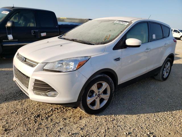 FORD ESCAPE SE 2014 with VIN 1FMCU0G92EUD83795 - Photo from auction