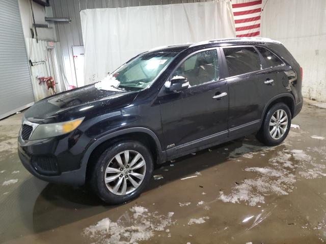 KIA SORENTO BA 2011 with VIN 5XYKTDA28BG176055 - Photo from auction