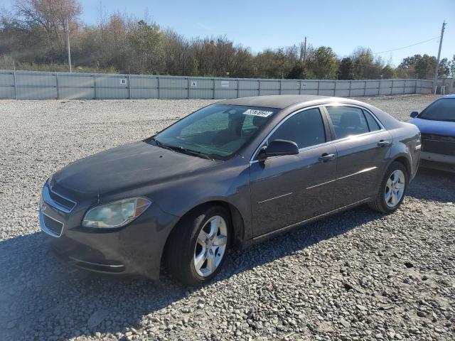 CHEVROLET MALIBU 1LT 2010 with VIN 1G1ZC5E07A4126783 - Photo from auction