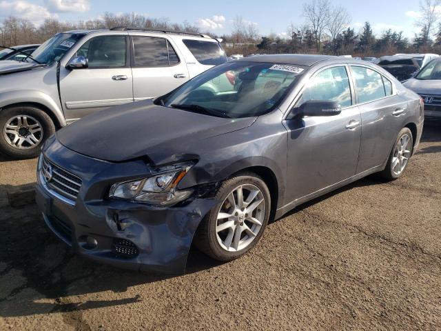 NISSAN MAXIMA S 2010 with VIN 1N4AA5AP1AC835797 - Photo from auction