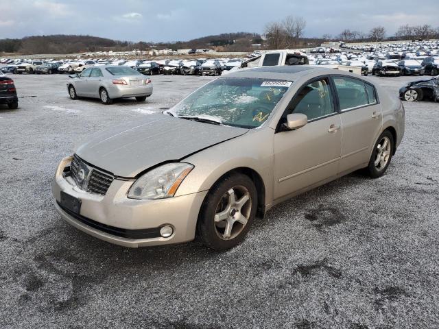 NISSAN MAXIMA SE 2004 with VIN 1N4BA41E64C930311 - Photo from auction