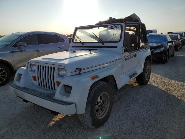 JEEP WRANGLER / 1993 with VIN 1J4FY69S9PP248320 - Photo from auction