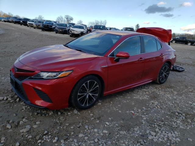 TOYOTA CAMRY SE 2020 with VIN 4T1G31AK3LU014351 - Photo from auction