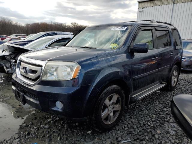 HONDA PILOT EXL 2010 with VIN 5FNYF4H51AB022262 - Photo from auction