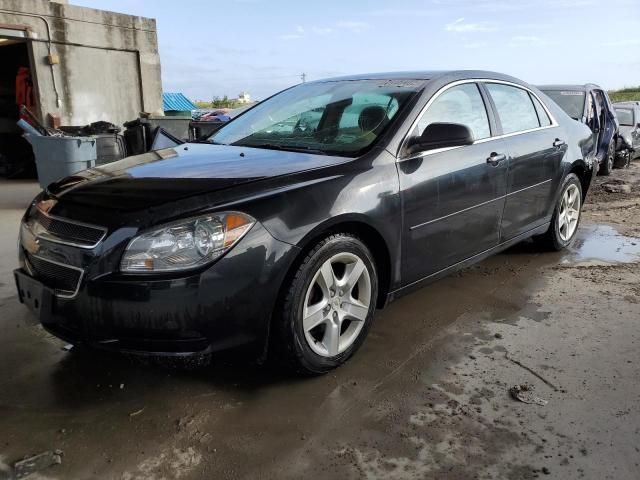 CHEVROLET MALIBU LS 2012 with VIN 1G1ZB5E02CF251345 - Photo from auction