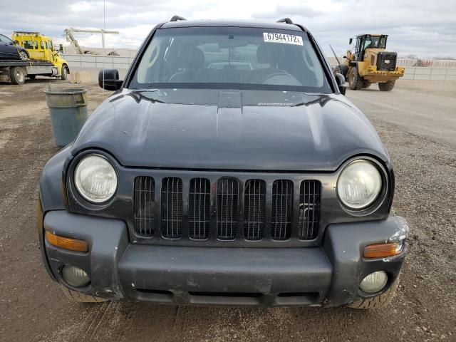 Photo 5 from auction – 2003 JEEP LIBERTY LI with VIN 1J4GK58K93W504232
