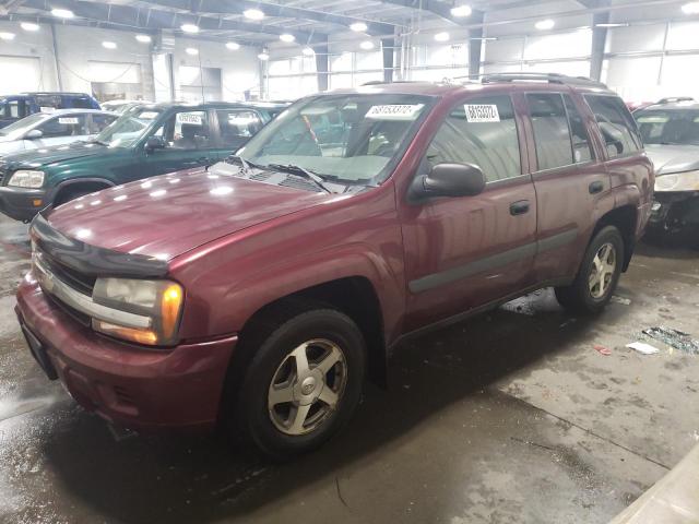CHEVROLET TRAILBLAZE 2005 with VIN 1GNDT13SX52251364 - Photo from auction