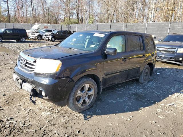 HONDA PILOT EXL 2013 with VIN 5FNYF4H53DB037558 - Photo from auction