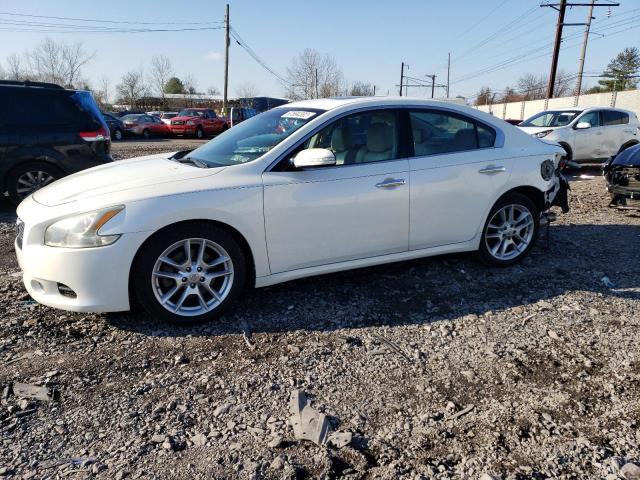 NISSAN MAXIMA S 2011 with VIN 1N4AA5AP6BC830077 - Photo from auction