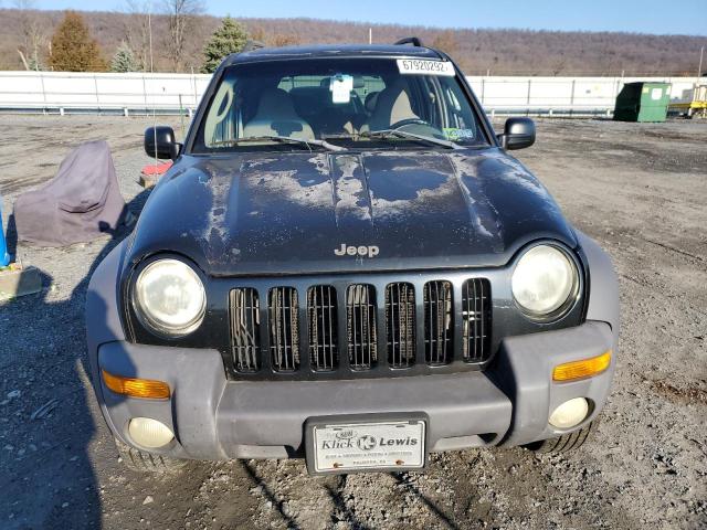 Photo 5 from auction – 2003 JEEP LIBERTY SP with VIN 1J4GL48K83W567491