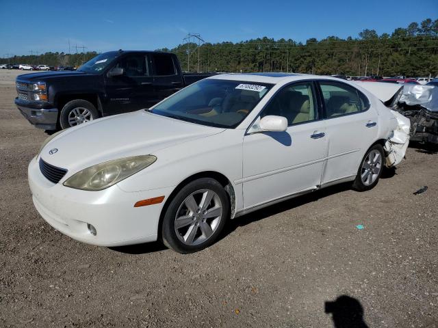 LEXUS ES 330 2005 with VIN JTHBA30G455125323 - Photo from auction