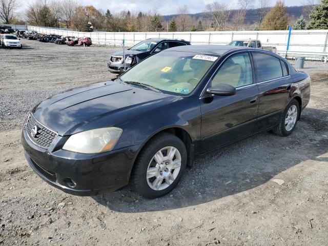 NISSAN ALTIMA S 2005 with VIN 1N4AL11E45C256469 - Photo from auction