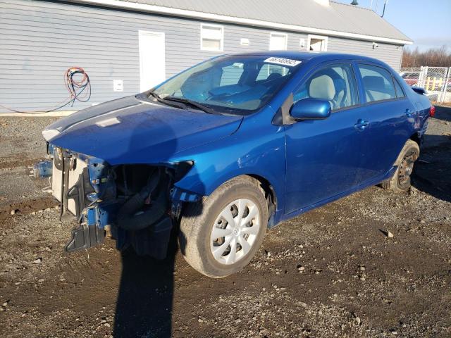 TOYOTA COROLLA BA 2010 with VIN 2T1BU4EE3AC409416 - Photo from auction