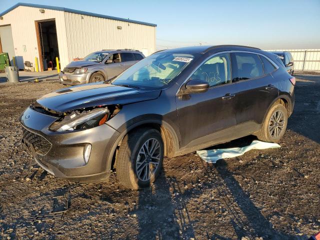 FORD ESCAPE SEL 2020 with VIN 1FMCU9H64LUA41125 - Photo from auction