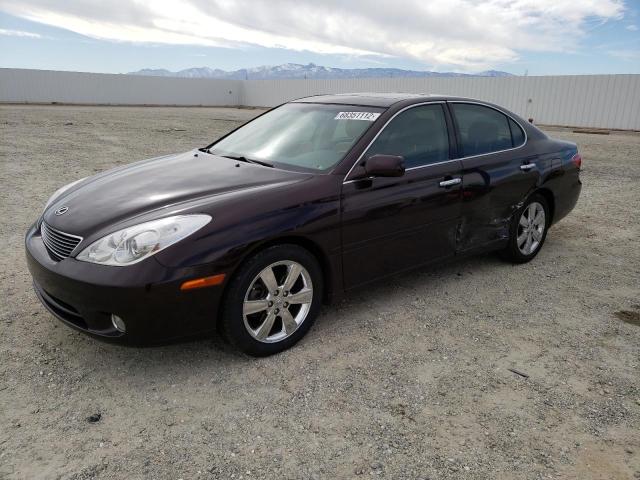 LEXUS ES 330 2005 with VIN JTHBA30G655089960 - Photo from auction