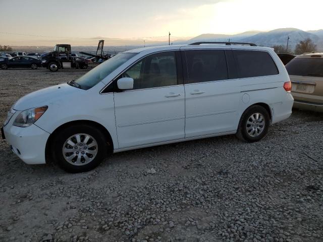 HONDA ODYSSEY EX 2008 with VIN 5FNRL38458B064653 - Photo from auction