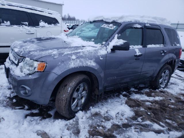 FORD ESCAPE XLT 2008 with VIN 1FMCU93118KB28110 - Photo from auction