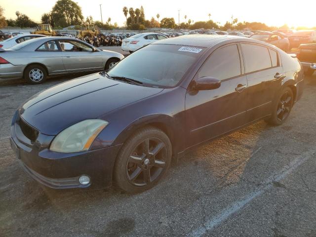NISSAN MAXIMA SE 2005 with VIN 1N4BA41E15C815195 - Photo from auction