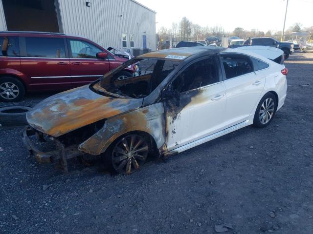 HYUNDAI SONATA SPO 2015 with VIN 5NPE34AF2FH043189 - Photo from auction