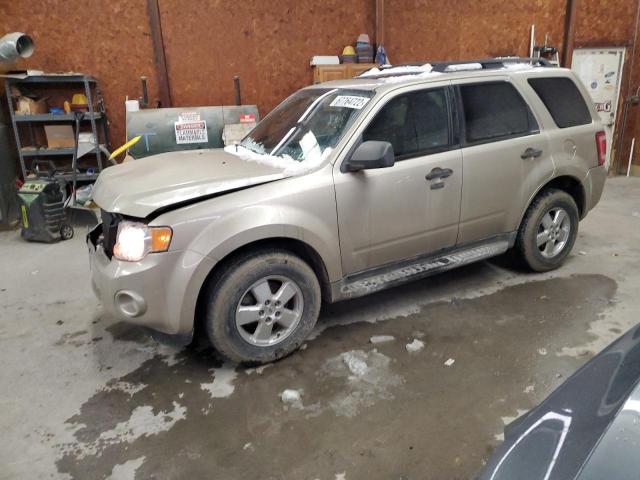 FORD ESCAPE XLT 2010 with VIN 1FMCU9DG7AKC31332 - Photo from auction