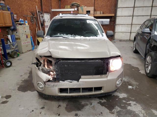 Photo 5 from auction – 2010 FORD ESCAPE XLT with VIN 1FMCU9DG7AKC31332