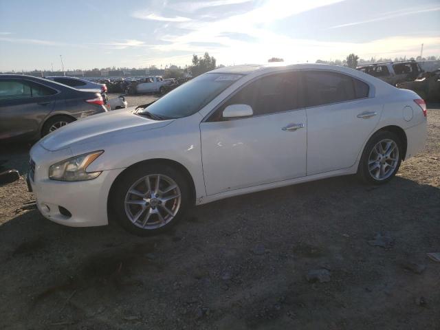 NISSAN MAXIMA S 2011 with VIN 1N4AA5AP1BC869191 - Photo from auction
