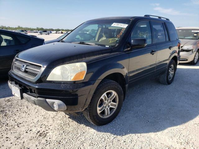 HONDA PILOT EXL 2005 with VIN 2HKYF187X5H507765 - Photo from auction