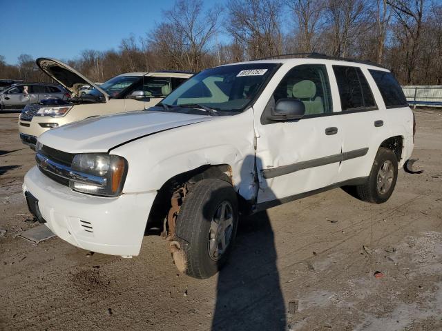 CHEVROLET TRAILBLAZE 2005 with VIN 1GNDT13S752288887 - Photo from auction
