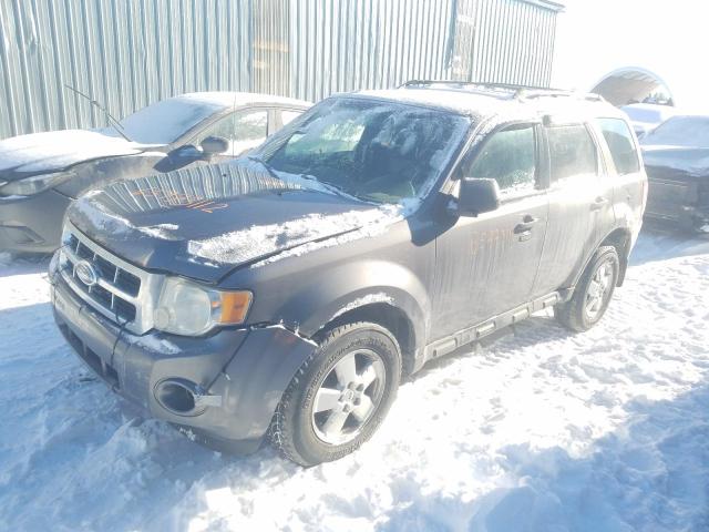 FORD ESCAPE XLT 2009 with VIN 1FMCU93G09KC29158 - Photo from auction