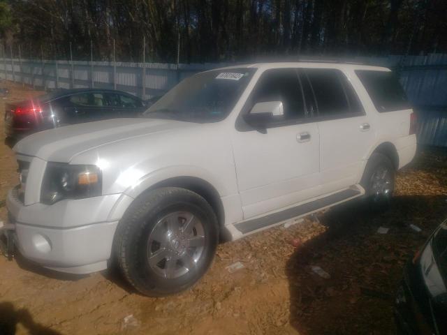 FORD EXPEDITION 2009 with VIN 1FMFU19579EB20800 - Photo from auction