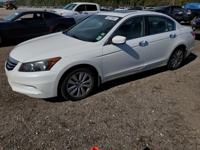 HONDA ACCORD EXL 2011 with VIN 1HGCP3F85BA026809 - Photo from auction