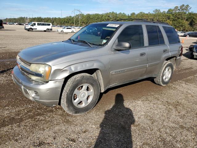 CHEVROLET TRAILBLAZE 2003 with VIN 1GNDS13S622225892 - Photo from auction