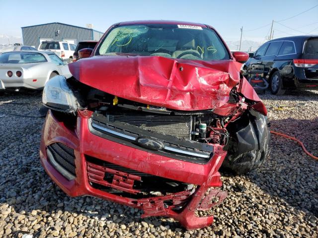 Photo 5 from auction – 2014 FORD ESCAPE SE with VIN 1FMCU9G90EUA07519