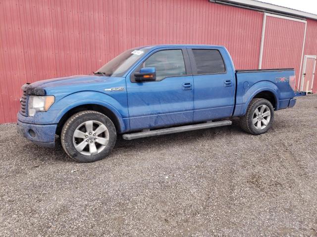 FORD F150 SUPER 2010 with VIN 1FTFW1CV0AKE04203 - Photo from auction
