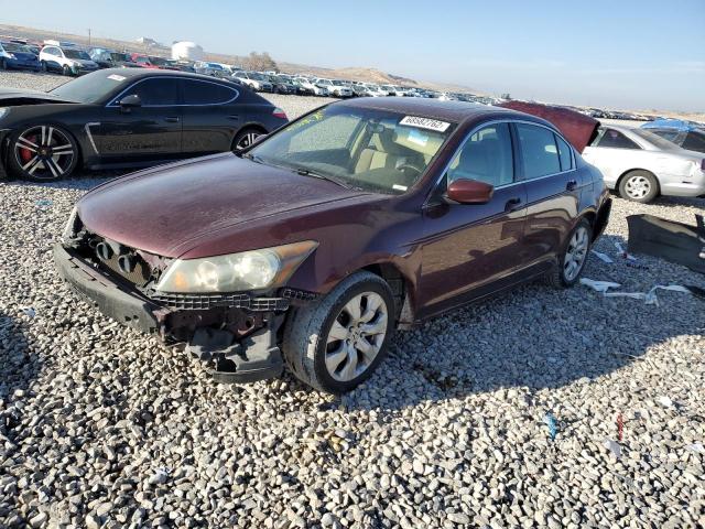 HONDA ACCORD 2010 with VIN 1HGCP2F71AA040027 - Photo from auction