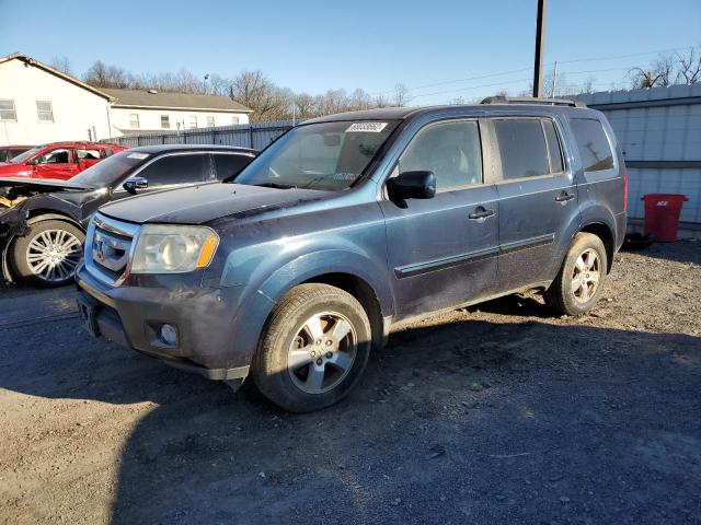 HONDA PILOT EXL 2009 with VIN 5FNYF48619B013632 - Photo from auction
