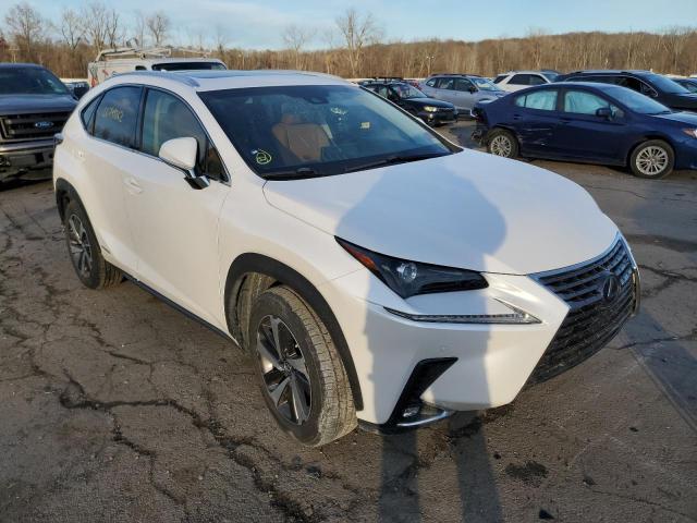 Photo 4 from auction – 2019 LEXUS NX 300H with VIN JTJBJRBZ3K2106663
