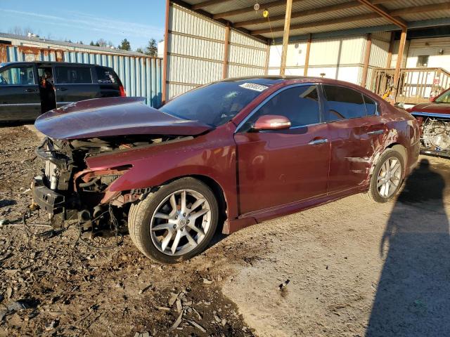 NISSAN MAXIMA S 2009 with VIN 1N4AA51E49C855875 - Photo from auction