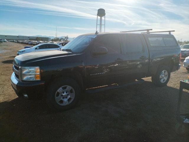 CHEVROLET SILVERADO 2009 with VIN 3GCEC230X9G285061 - Photo from auction