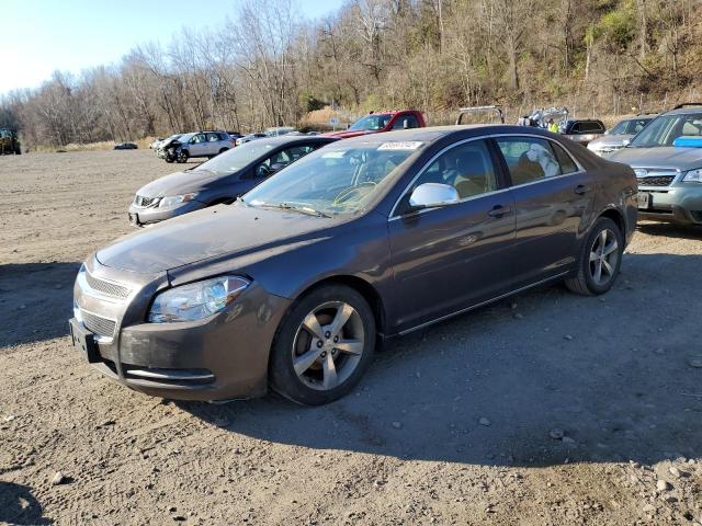 CHEVROLET MALIBU 1LT 2011 with VIN 1G1ZC5E17BF145073 - Photo from auction
