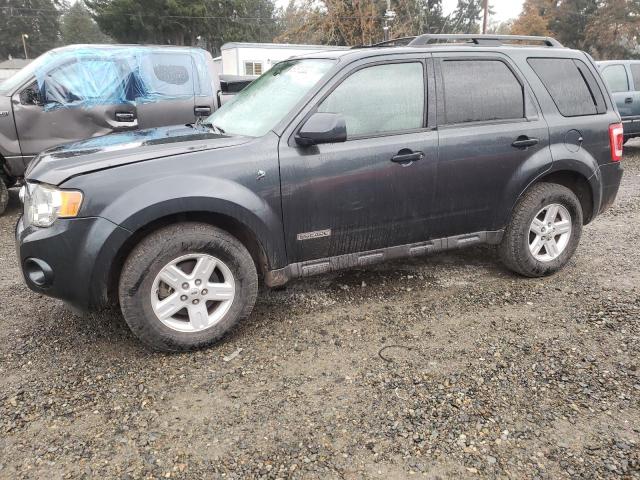 FORD ESCAPE HEV 2008 with VIN 1FMCU59H38KD49138 - Photo from auction
