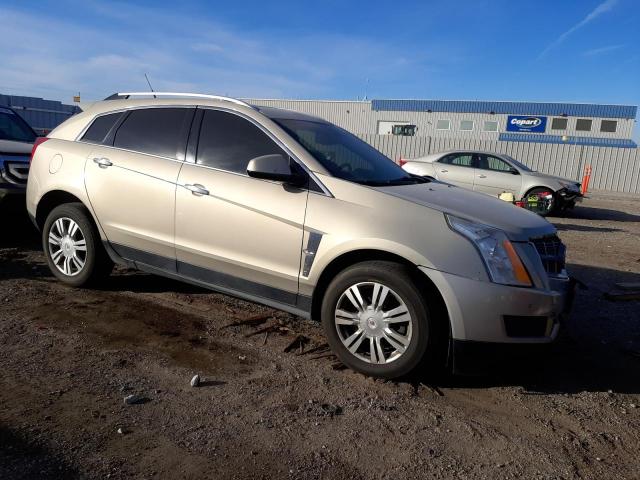 Photo 4 from auction – 2011 CADILLAC SRX LUXURY with VIN 3GYFNDEY5BS554481
