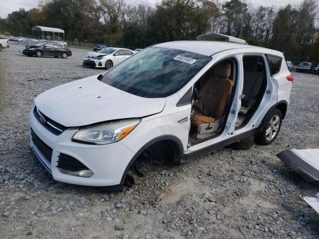 FORD ESCAPE SE 2014 with VIN 1FMCU0GX3EUC00502 - Photo from auction