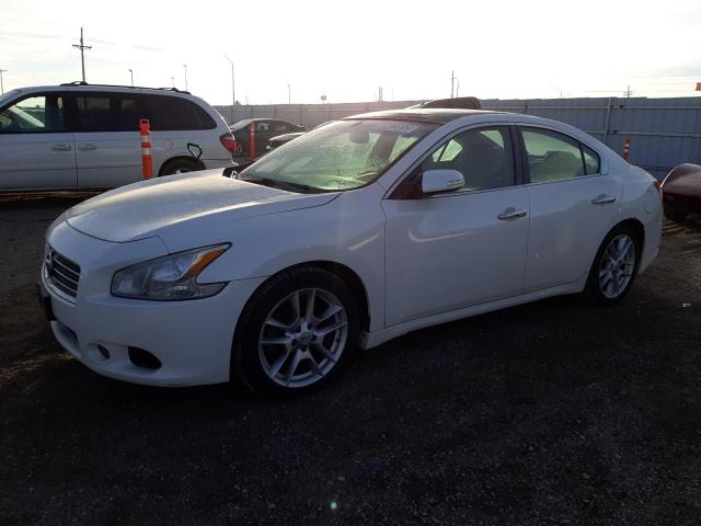 NISSAN MAXIMA S 2009 with VIN 1N4AA51E29C861058 - Photo from auction