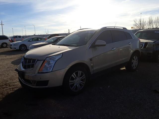CADILLAC SRX LUXURY 2011 with VIN 3GYFNDEY5BS554481 - Photo from auction