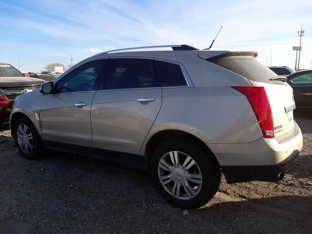 Photo 2 from auction – 2011 CADILLAC SRX LUXURY with VIN 3GYFNDEY5BS554481