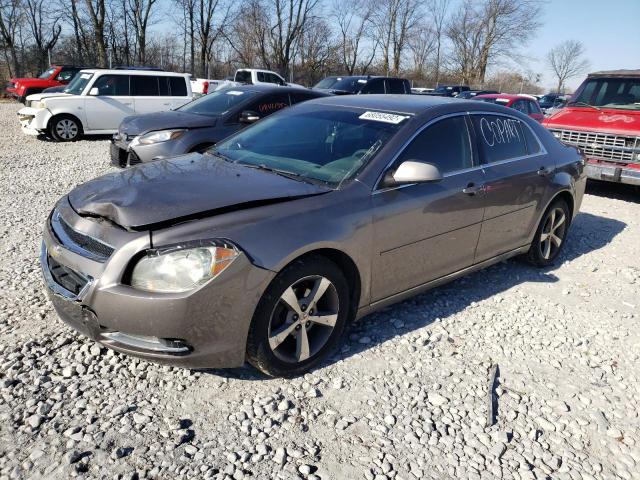 CHEVROLET MALIBU 1LT 2011 with VIN 1G1ZC5E15BF179397 - Photo from auction