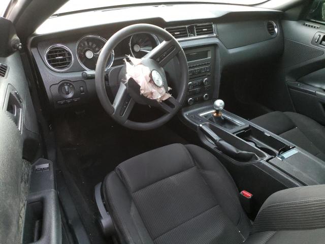 Photo 8 from auction – 2012 FORD MUSTANG with VIN 1ZVBP8AM5C5259091