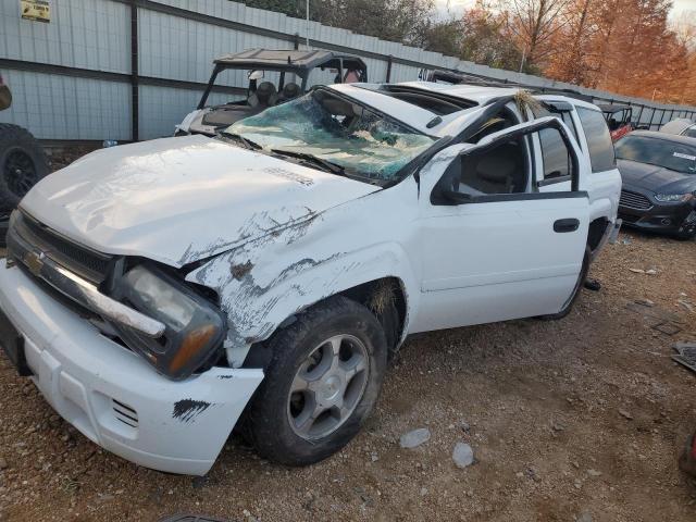Photo 1 from auction – 2007 CHEVROLET TRAILBLAZE with VIN 1GNDS13S572205771
