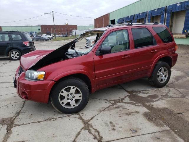FORD ESCAPE LIM 2005 with VIN 1FMYU94165KB03980 - Photo from auction